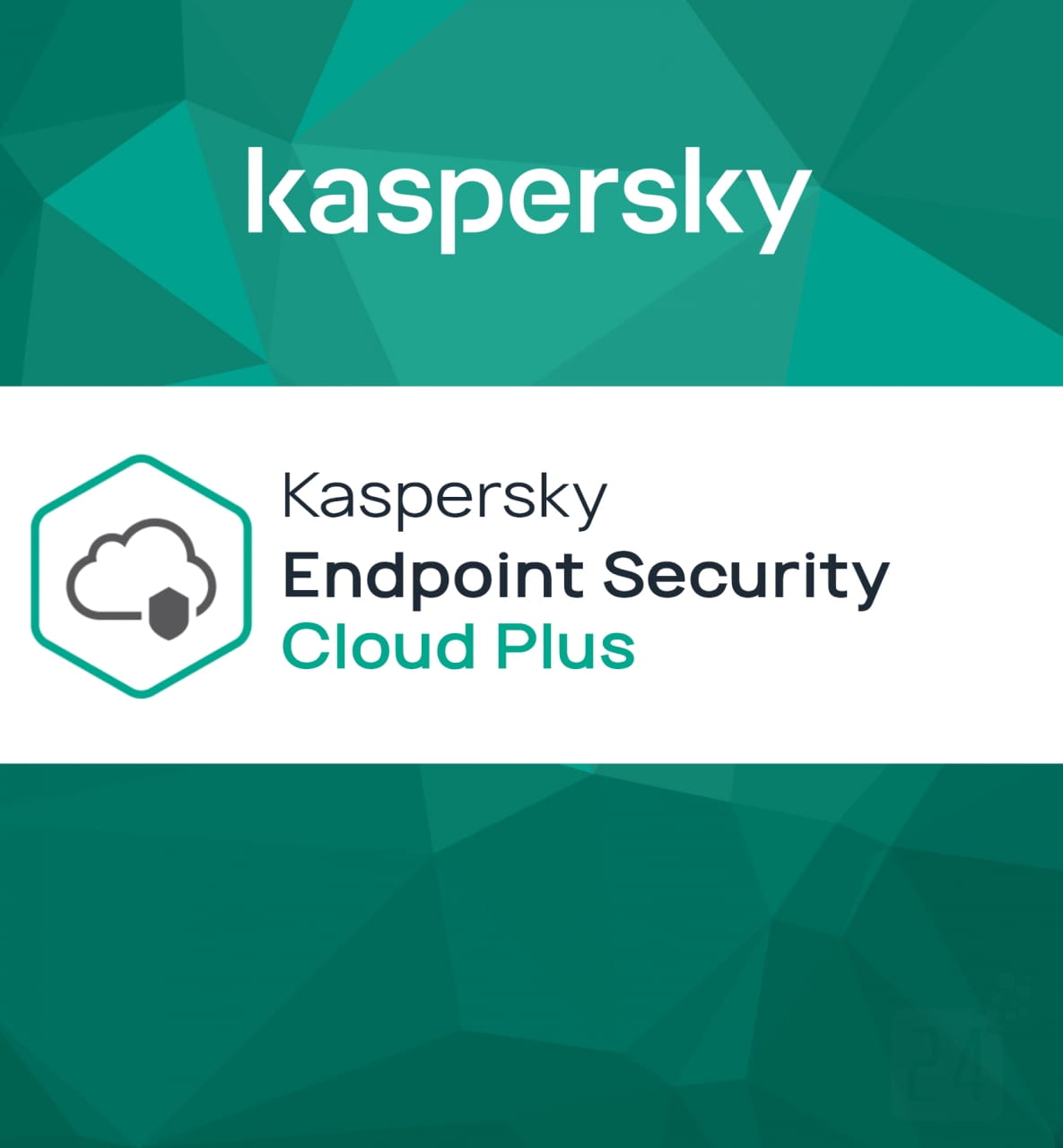 Kaspersky Endpoint Security Cloud Plus 1 Jahr Verlängerung 15 - 19 Workstations / Fileserver