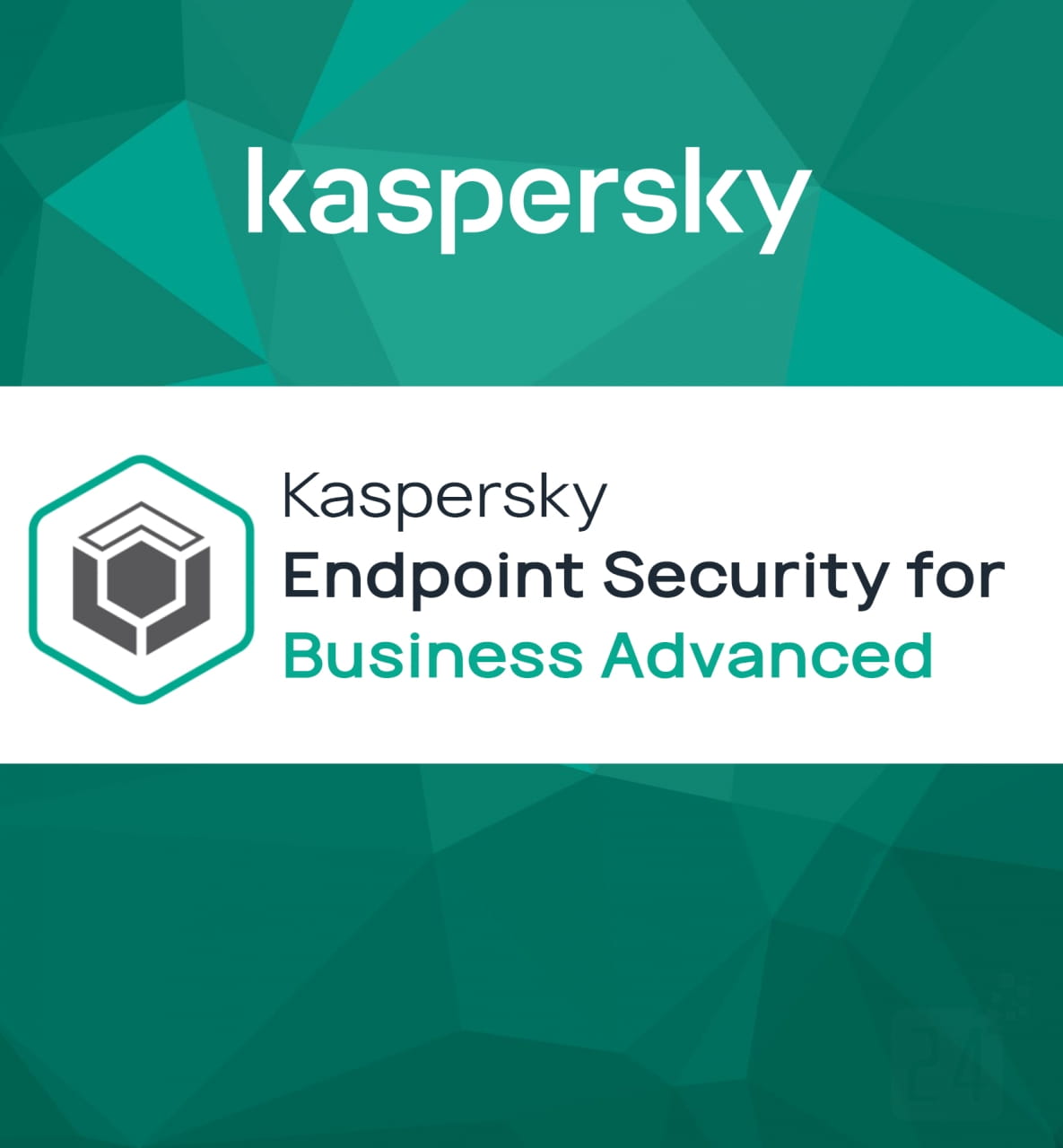 Kaspersky Endpoint Security for Business Advanced 20 - 24 User 1 Jahr Neukauf