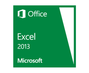 Microsoft Excel 2013